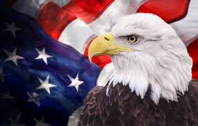 American Eagle, American Flag