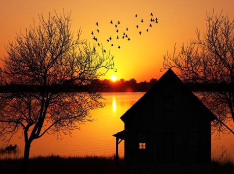 A cabin in silhouette on a lake at sundown with a flock of birds flying by