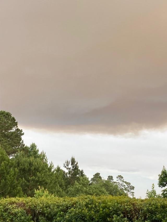 A huge cloud of smoke hovers overhead, a result of a controlled burn in Brunswick County, N.C.
