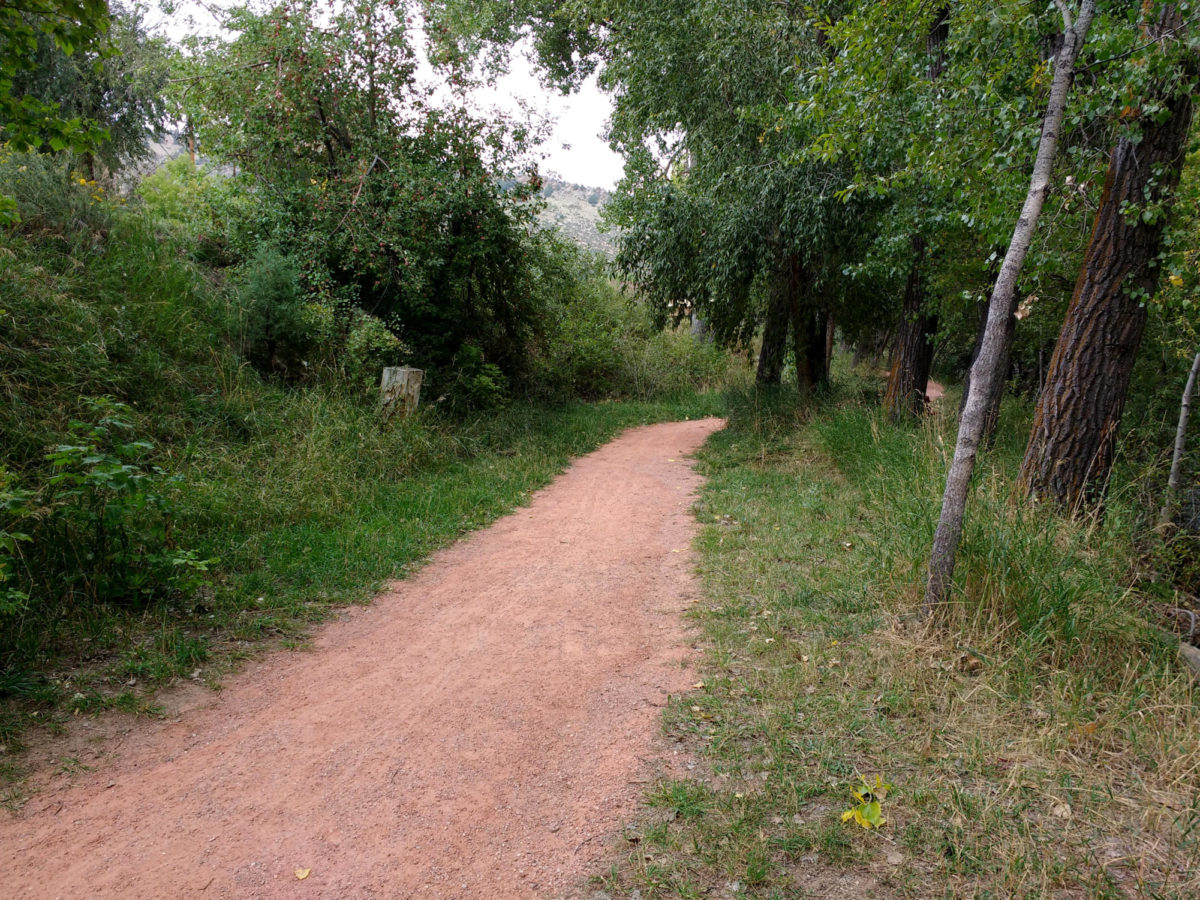 dirt-path-through-wooded-area