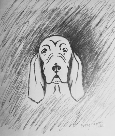 The hound had sad eyes, droopy jowls and long ears...