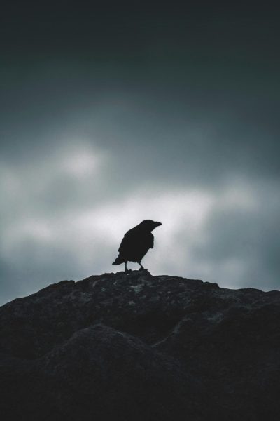 The Ravens Riddle