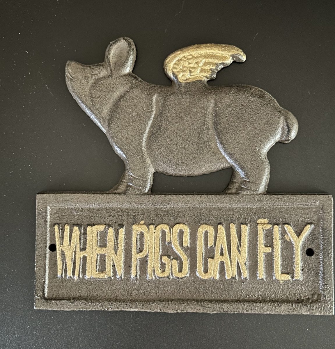 When Pigs Can Fly