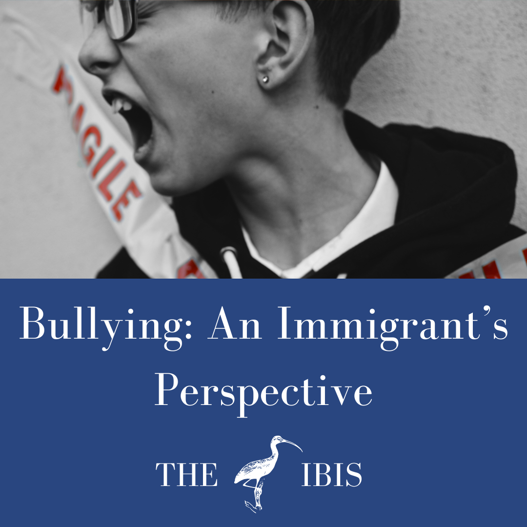 Bullying – An Immigrant’s Perspective