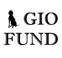 Gio Fund: How a Local Nonprofit Uses Love and Community to Benefit Animals in Need 