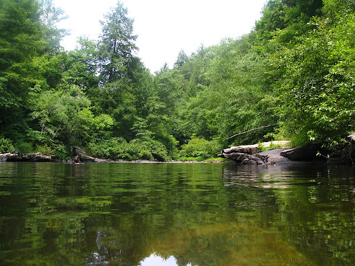 Swimming Hole 