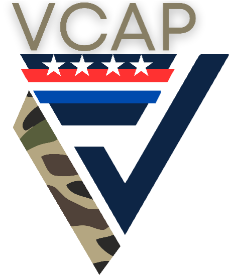 Meet the VCAP Instructors