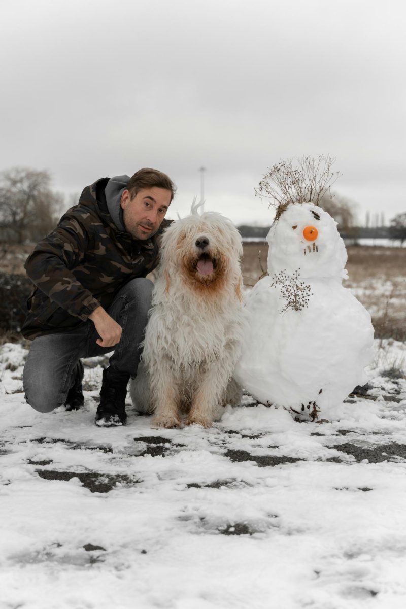 Human, shaggy dog and . . . Wait a minute! What is a shaggy snowman doing in this picture? Well, it is December . . . 

