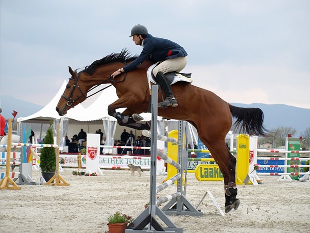 Horse Jumping 101